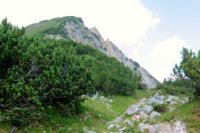 2014-07-18_Kompar (237)b.JPG